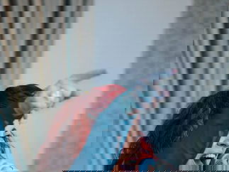 Promo Little Miss Magic Function Band Cornwall