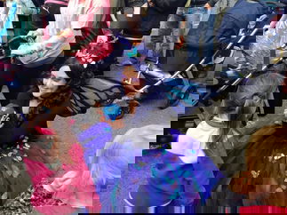 Promo The Blue Butterfly Circus Performer Suffolk