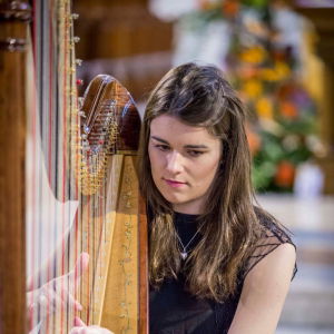 Promo The Cardiff Harpist  Vale of Glamorgan