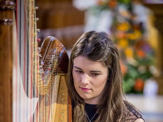 Promo The Cardiff Harpist Harpist Vale of Glamorgan