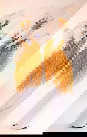 Promo Stilt Walkers  Leicestershire