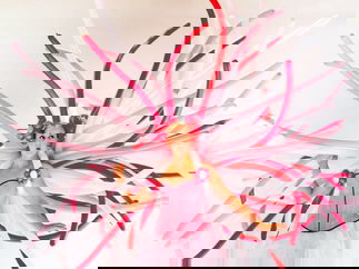 Promo Balloon Stilt Walkers Street Performer Leicestershire