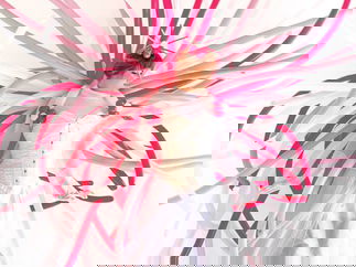 Promo Balloon Stilt Walkers Street Performer Leicestershire