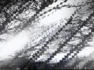 Promo Whiskey River Country Music Dorset