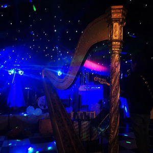 Promo Jessica Louise (Harpist)  Cheshire