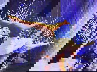 Promo Contortionist Pixie Contortionist London