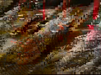 Promo Showgirl Champagne Skirts Mix and Mingle Entertainer Leicestershire