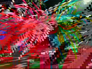 Promo Balloon Stilt Walkers Street Performer Leicestershire