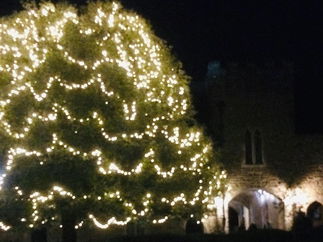 Promo The Rose String Quartet String Quartet Hertfordshire