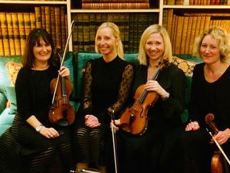 Promo The Rose String Quartet String Quartet Hertfordshire
