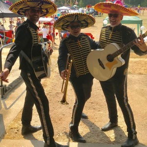 Promo Beat Banditos  London