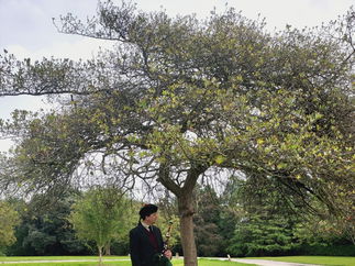 Promo Welsh Piper Tim Piper Denbighshire