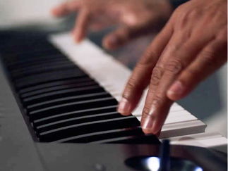 Promo Celebration Function Band London