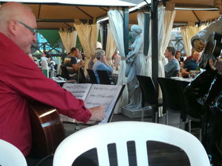 Promo Neil Brown Classical Guitarist Hampshire