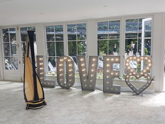 Promo Fiona Hosford (Harpist) Harpist East Sussex