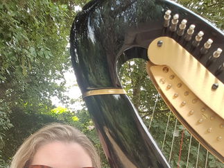 Promo Fiona Hosford (Harpist) Harpist East Sussex