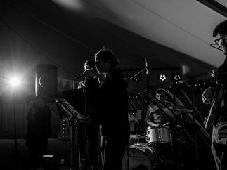 Promo Evelyn and The Vipers Rock, Pop and Soul Wedding Function Band Bristol