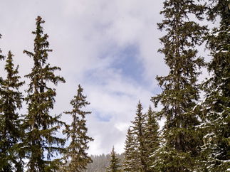 Promo Cydney Smith Singer Guitarist London