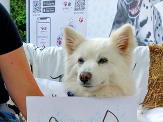 Promo Daniel Draws Caricaturist London