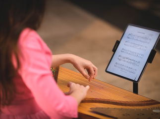 Promo Baltic Strings Harpist London