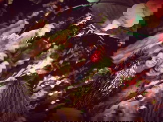 Promo Domino Function Band West Midlands