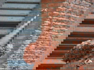 Promo Clown Living Statues Street Performer Leicestershire