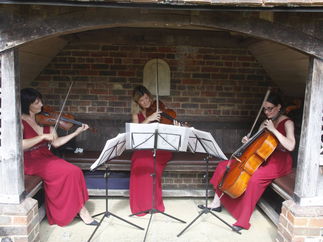 Promo Abele Strings String Quartet Hertfordshire