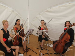 Promo Abele Strings String Quartet Hertfordshire