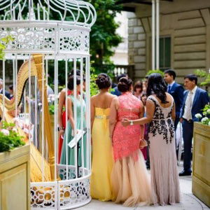 Promo The London Harpist  London