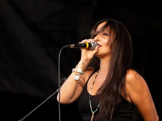 Promo The Fever Function Band London