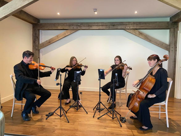 Promo Worcester String Quartet String Quartet Worcestershire