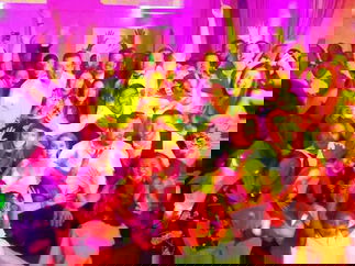 Promo Out Of Control Function Band West Midlands