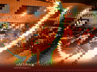 Promo Fire and Glow Verity Fire Performer Perth and Kinross