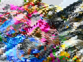 Promo Splendid Booths Vintage Photo Booth Bristol