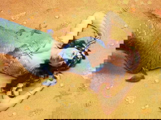 Promo Magical Mermaids Circus Performer Nottinghamshire