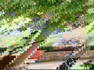 Promo Bella Duo Solo Artist, Duo or Trio Hampshire