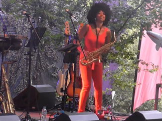 Promo Saxophonista Saxophonist/ Flautist Hertfordshire