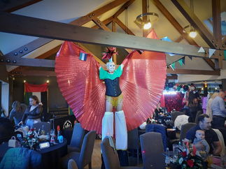 Promo Stilt Walker Verity Stilt Walker Perth and Kinross