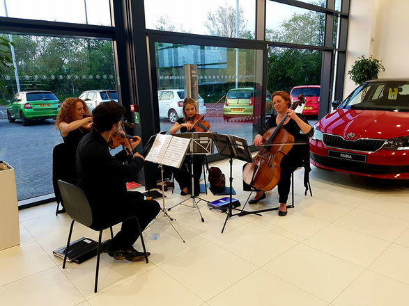Promo The Stirlingshire String Quartet String Quartet Stirlingshire area