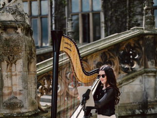 Promo Francesca Harp Harpist East Yorkshire
