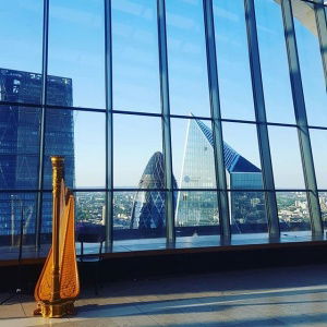 Promo The London Harpist  London