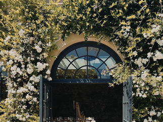 Promo Francesca Harp Harpist East Yorkshire