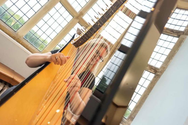 Promo Gold Harp Harpist East Sussex