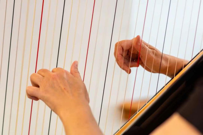 Promo Gold Harp Harpist East Sussex