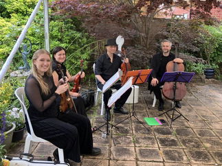 Promo Canon Strings String Quartet Surrey