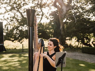 Promo Francesca Harp Harpist East Yorkshire