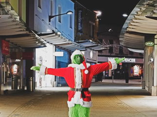 Promo The Green Grinch Christmas Entertainer Kent