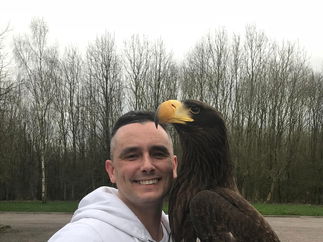 Promo Falconry UK Event Supplier London