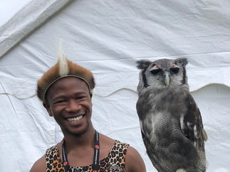 Promo Falconry UK Event Supplier London