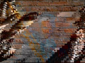 Promo Simon Sax Saxophonist Manchester